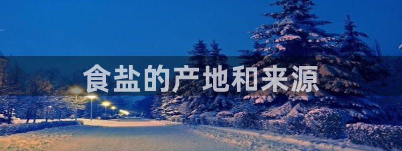 威九国际女主角