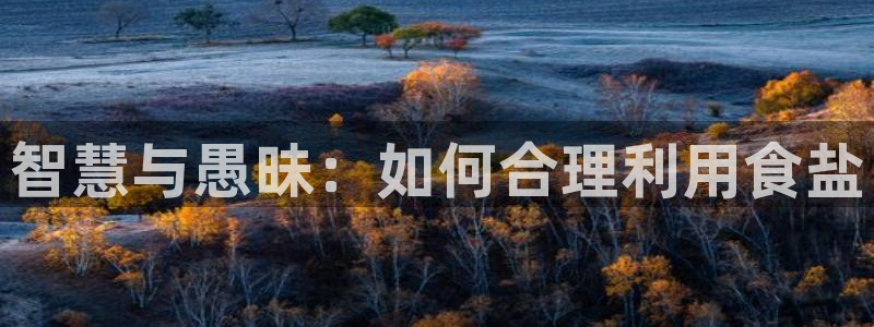 威九国际78mb玩法