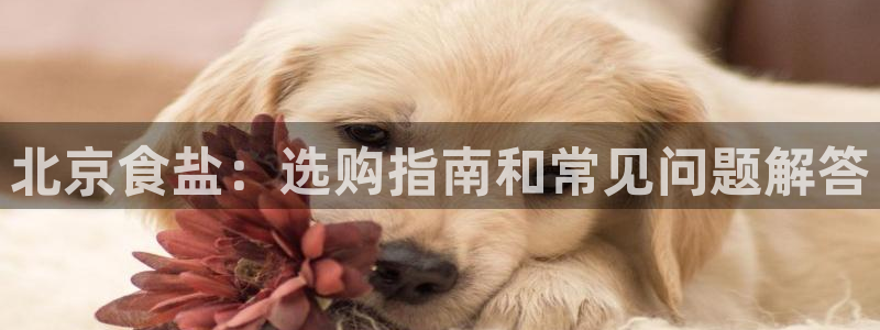 威九国际官方下载