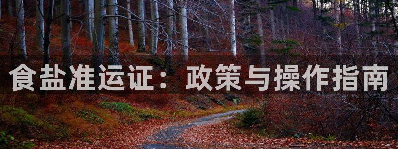 威九国际女明星