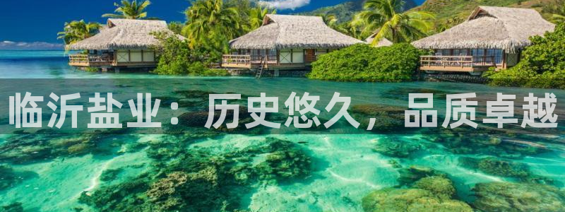 威九国际坑人的嘛