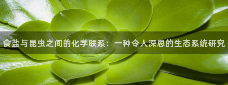 威九国际H：食盐与昆虫之间的化学联系：一种令人深思的生态系统