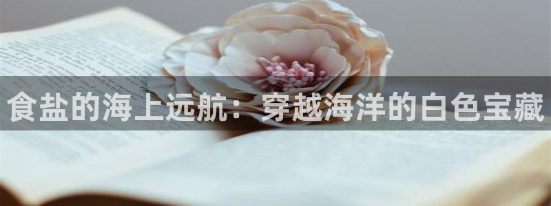 威九国际网站入口地址在哪里