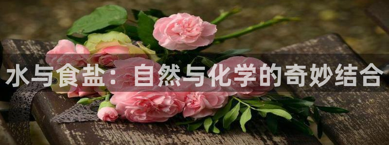 威九国际78mob官网版