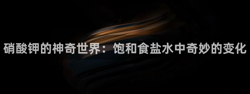 威九国际官网登录入口网址