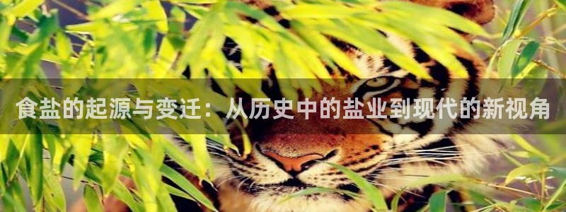 威九国际客服电话是多少
