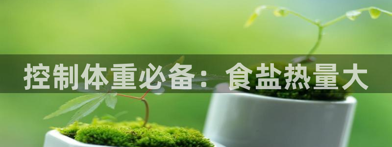 威九国际66m免费下载
