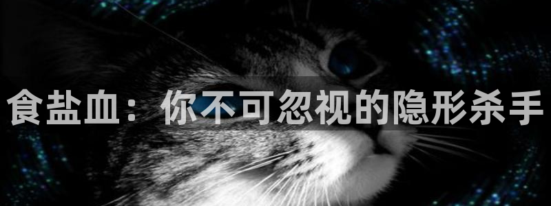 威九国际网站入口官网首页登录