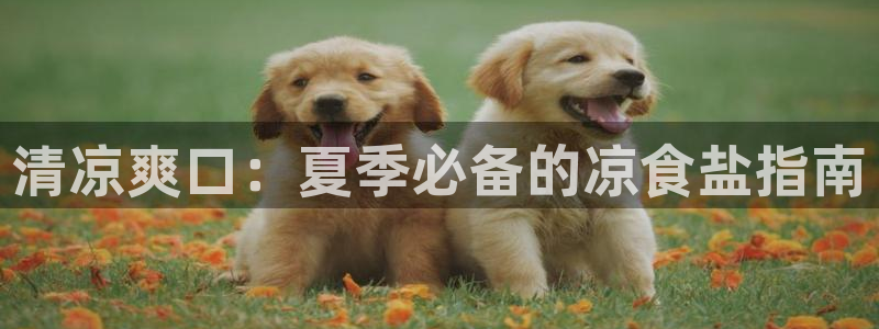 威九国际网站入口官网首页登录