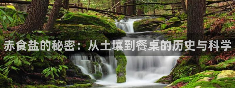 威九国际官网登录入口下载