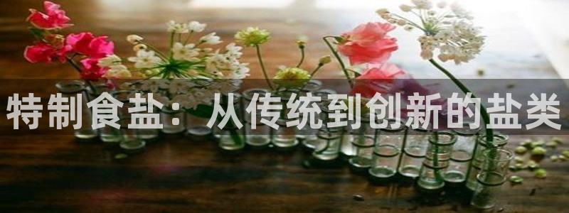 威九国际网站经常打不开