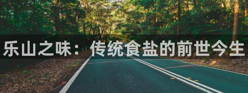 威九国际网站入口官网游戏推荐