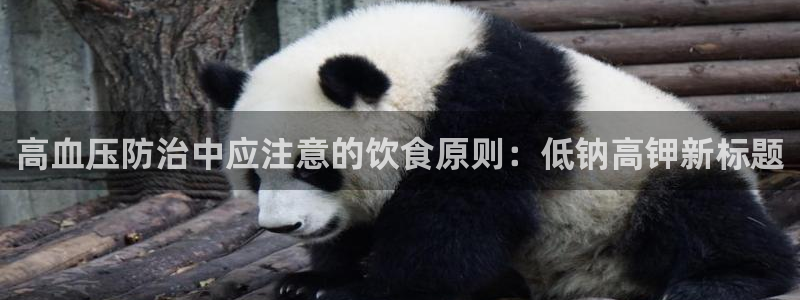 78mapp威九国际人民网