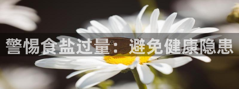 威九国际网页看视频弹窗的广告拦截插件