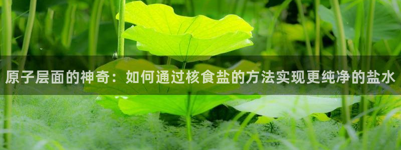 威九国际客服电话是多少