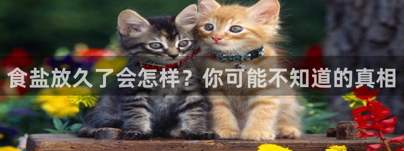 威九国际APP那个地方