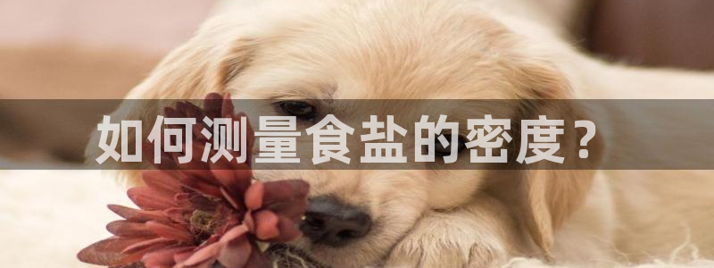 威九国际网站是多少