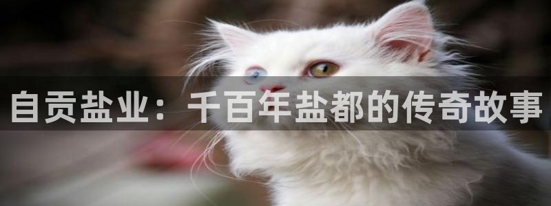 威九国际清砖码