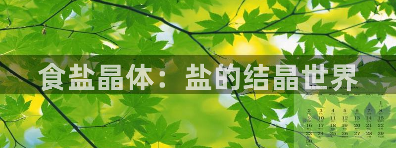 威九国际ppt免费下载网址