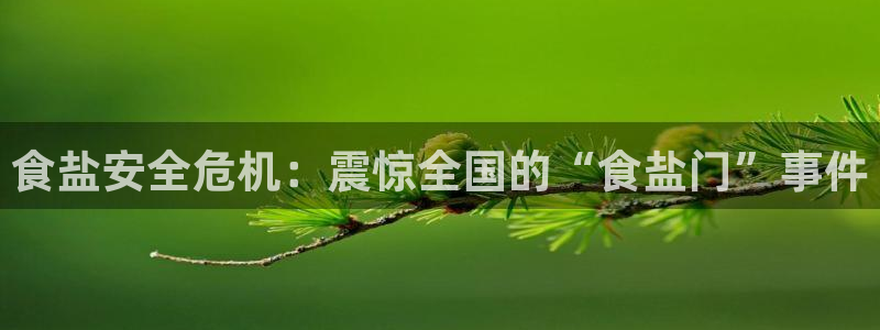 威九国际官方入口官网