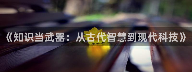 奇书网小说下载网站txt