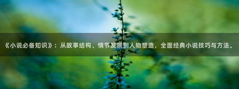 古董局中局txt下载奇书网